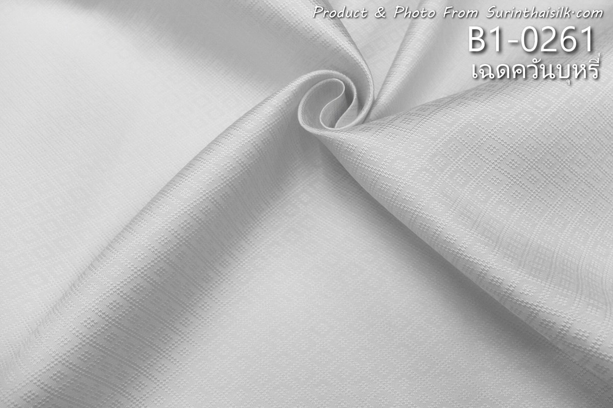 B1-0261