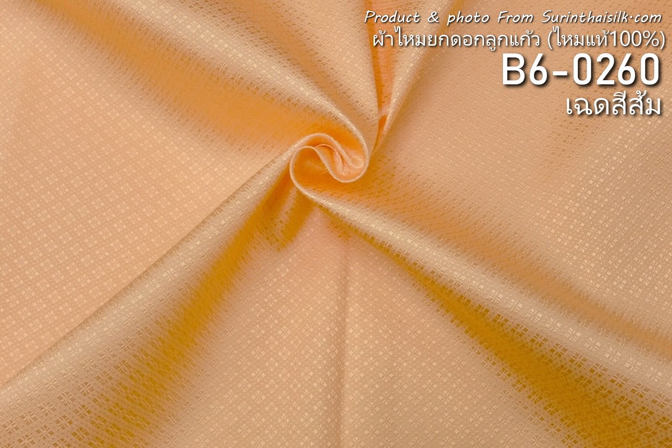 B6-0260