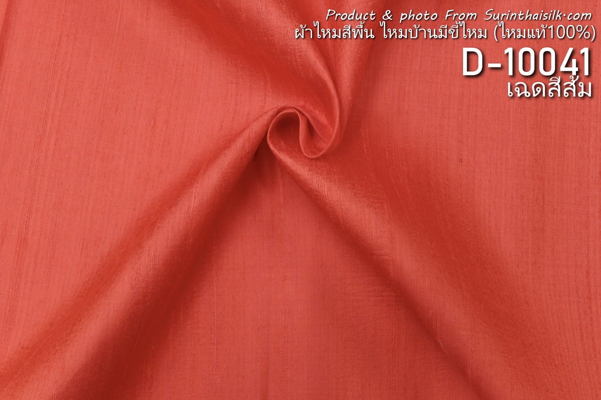 D-10041