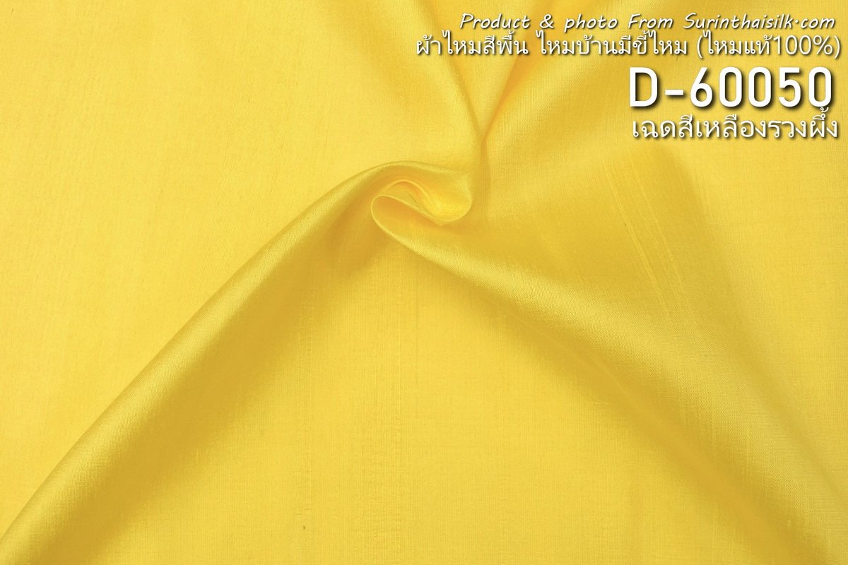 D-60050